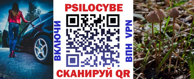 даркнет сайт  Каменск-Уральский  Галлюциногенные грибы Cubensis 