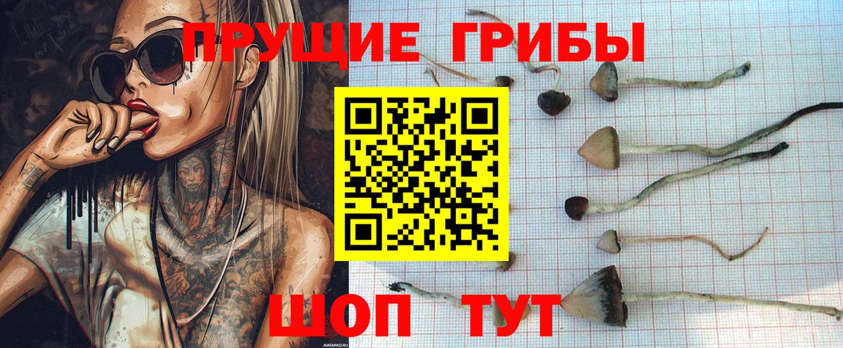 Галлюциногенные грибы Magic Shrooms Каменск-Уральский