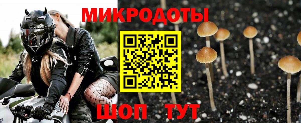 Каменск-Уральский  Галлюциногенные грибы Cubensis  Вход с VPN 